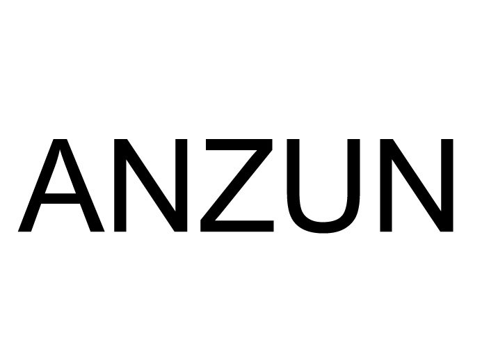 ANZUN企业店的LOGO