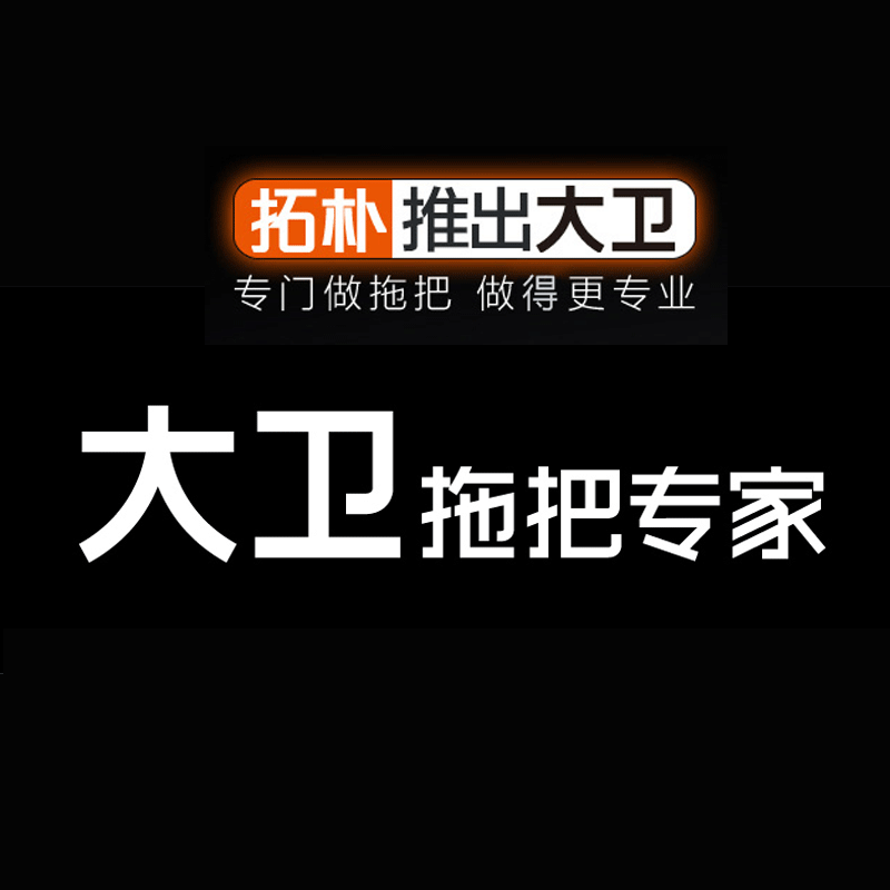拓朴大卫拖把家居的LOGO