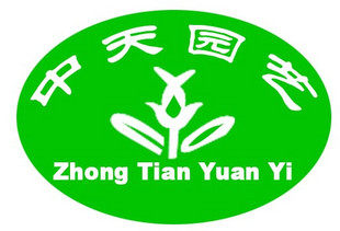 植物组培