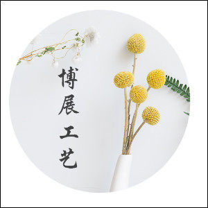 博展工艺模型
