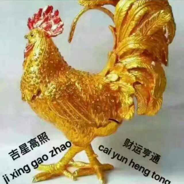 合作双赢17771884497