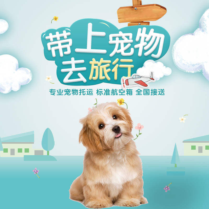 宠达达宠物托运的LOGO