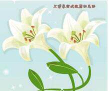 风中的云彩的LOGO