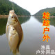 趁趁户外