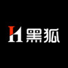 黑狐科技软件开发
