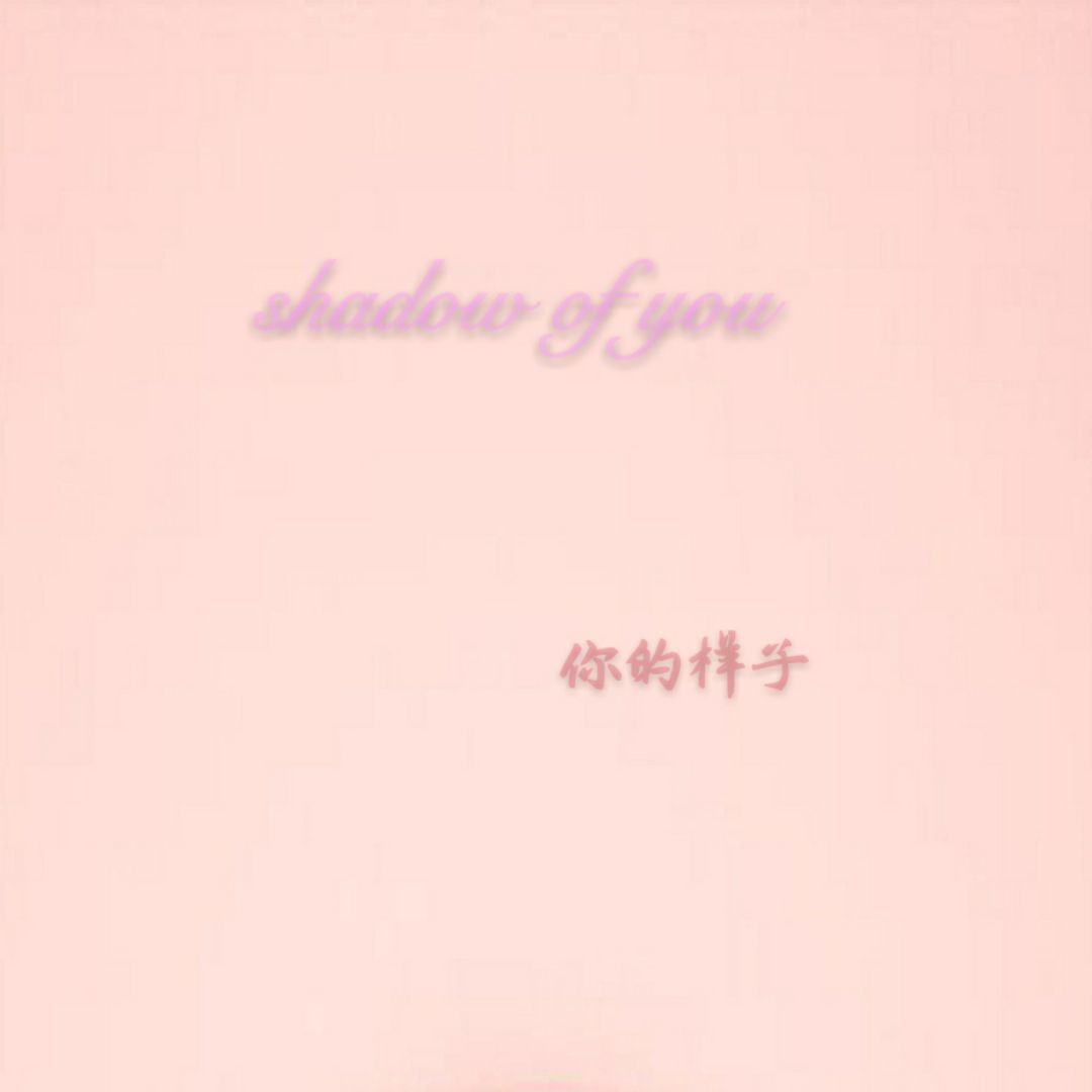 你的样子shadow of you的LOGO
