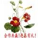 信达车业汽配直销店
