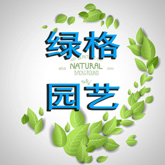 格格梦家园