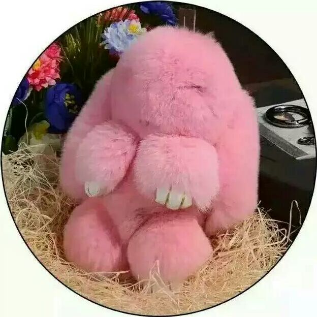 铂鑫皮草