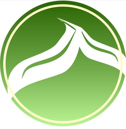 绿净居除甲醛机构