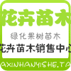 森林原木软装