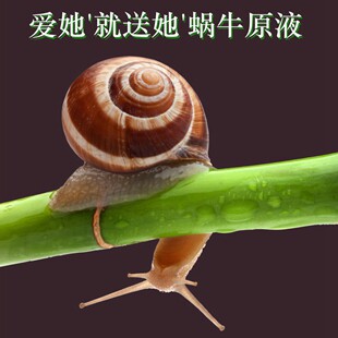 普罗旺斯专业洗护
