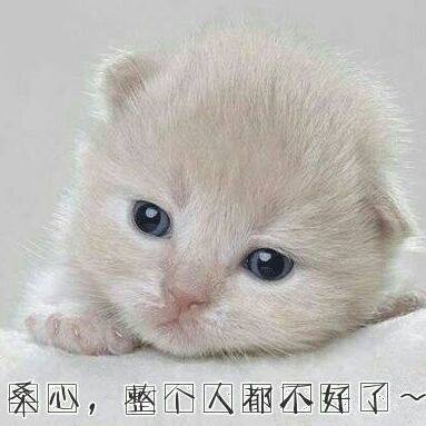 半洗护优选