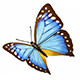 玲珑小鱼高端女装的LOGO