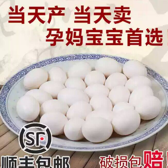 诚信信鸽自选商城的LOGO