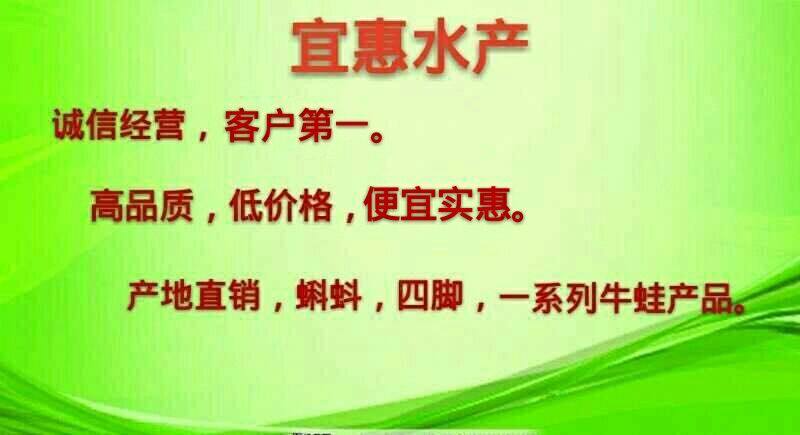 牛蛙水产养殖专业合作社
