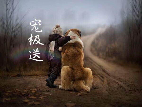 米鲁思严选
