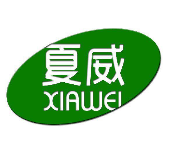 新新专业贴膜
