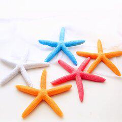 赶海缘海螺精品店
