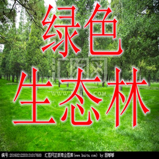 深山竹林