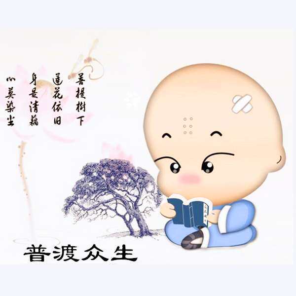 菀城电子商务经营部