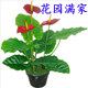 祥瑞仿真植物厂批发零售的LOGO