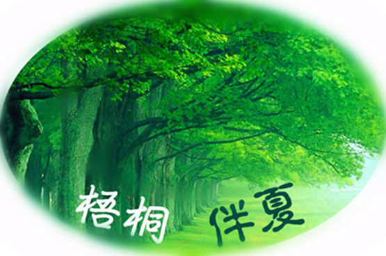 梧桐夏日清凉阁