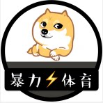 暴力体育