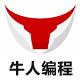 牛人量化开发