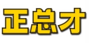 正总才企业店
