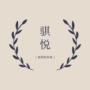 骐悦汽车用品的LOGO