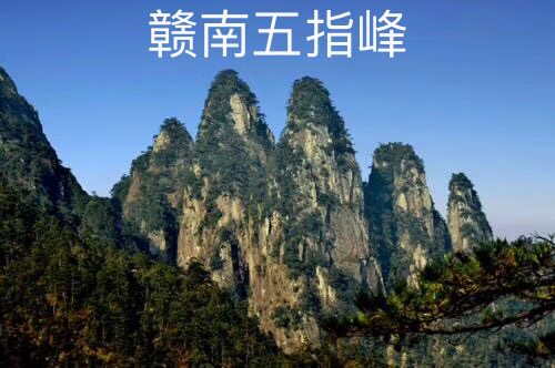 赣南五指峰品牌店的LOGO