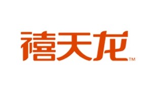 天龙百货1的LOGO