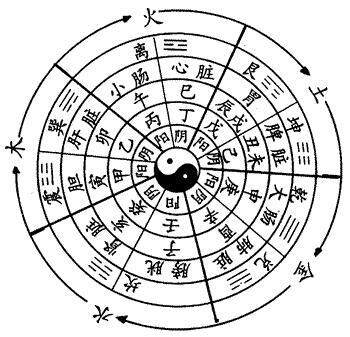 福建凯雅特窗帘壁布