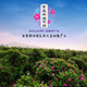 平阴县的紫蓝玫瑰花园的LOGO