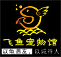飞鱼龟宠