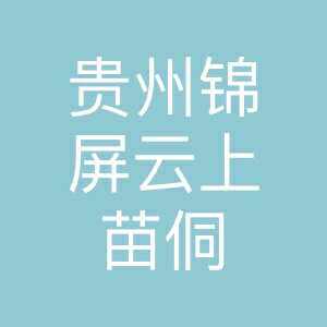 黔东南云上苗侗情土特产的LOGO