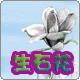 大众生石花企业店的LOGO