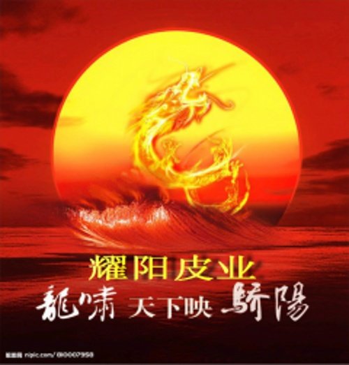 耀阳皮业