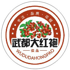武都大红袍品牌店