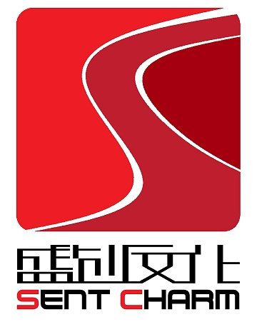 盛创汽车用品店