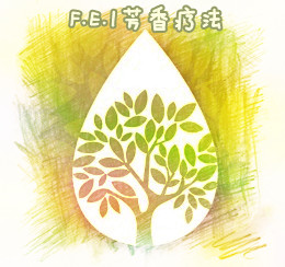 丰胸减肥精油FEI菲家芳疗17年老店的LOGO