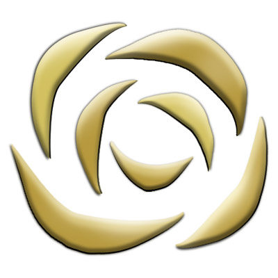 成都蝴蝶兰鲜花速递