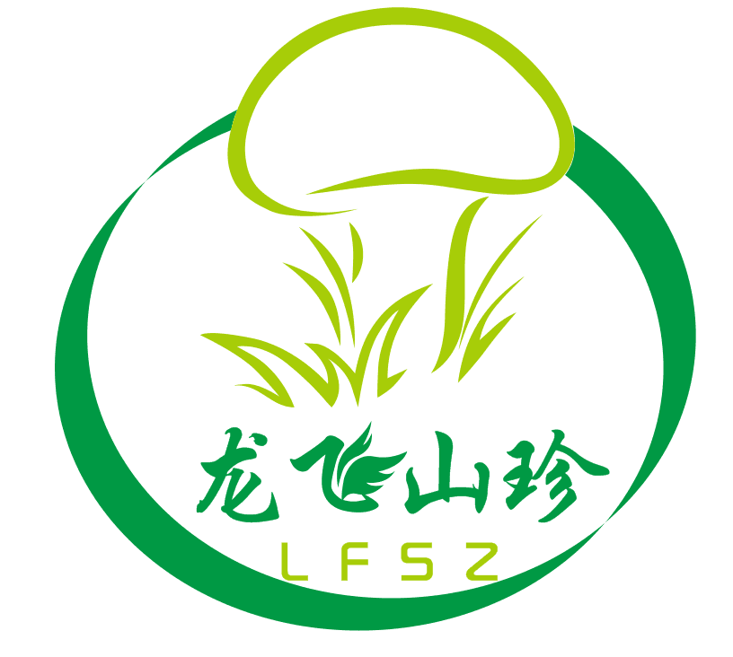 龙飞山珍
