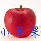 车友汽车用品总汇批发