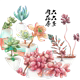 六六多肉花房