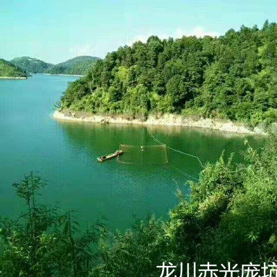 村姑小蓝特产店的LOGO