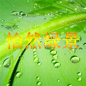 怡然绿景园艺