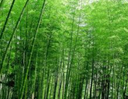 首尊电子商务商城