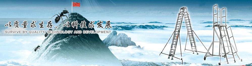 稳健登高梯
